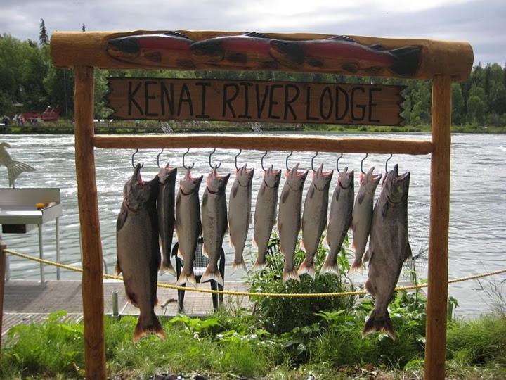 סולדוטנה Kenai River Lodge מראה חיצוני תמונה